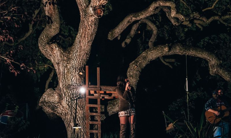 Gnarled lamp-lit tree at night, small figures and guitar