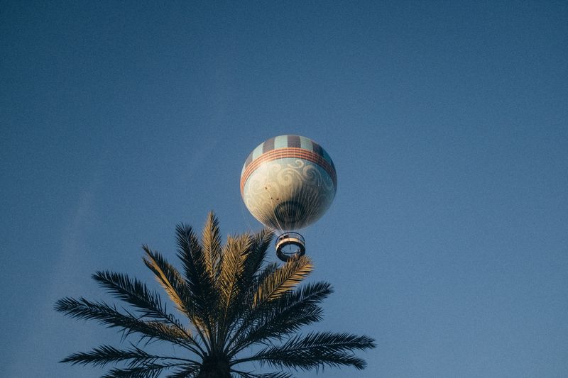 Hot-air balloon perched atop a palm against deep blue