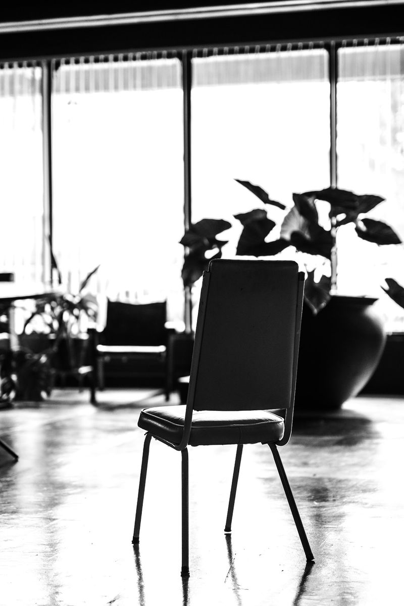 Black and white empty chair, plants, high key windows