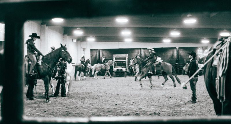 Arena riders framed through fence window, monochrome