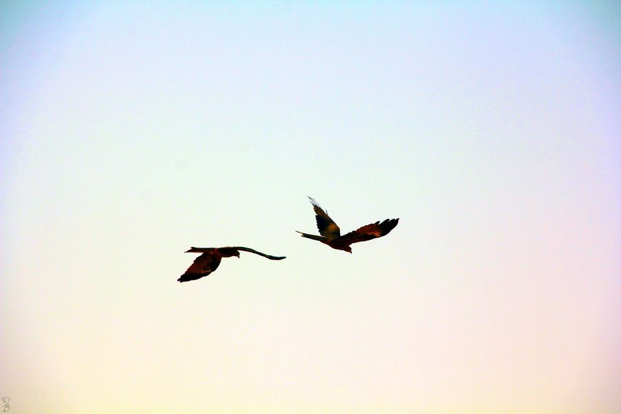 life, photograph