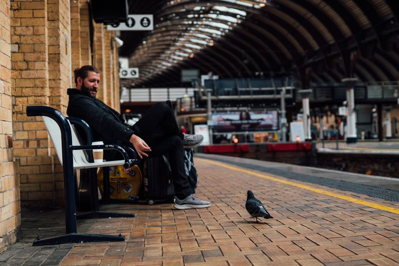 Feet up on luggage at station platform, pigeon strutting by