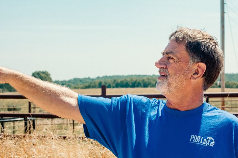 A man in a blue tee points across a field, looking off, a fence line and trees beyond